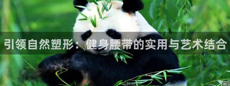 龙八国际手机客户端