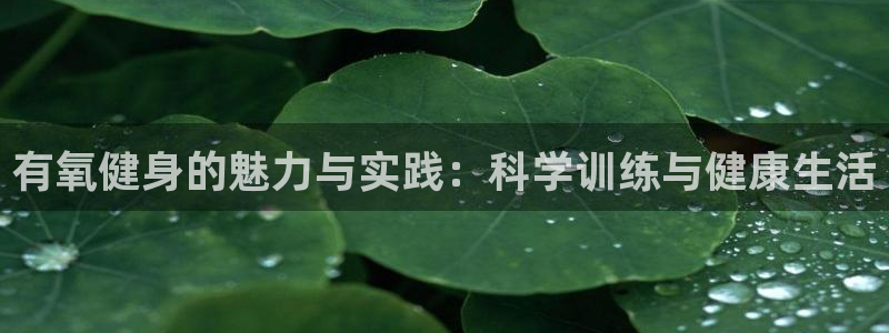 龙8国际试玩