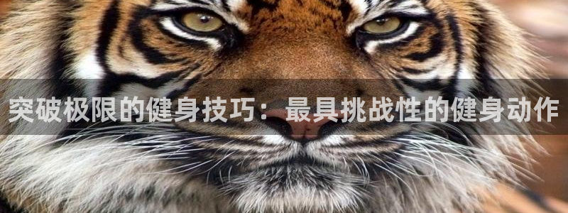 龙8国际官方网站苹果版
