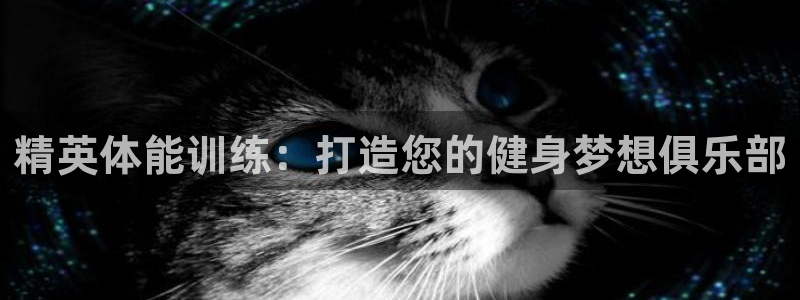 龙8游戏入口