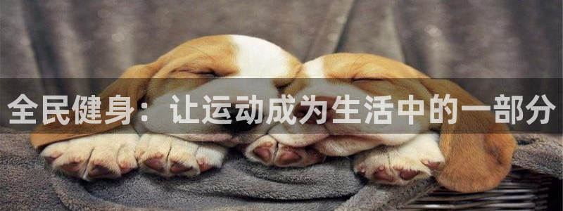 龙8国际官网版