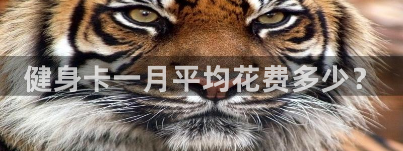 龙八国际官方网站app登录