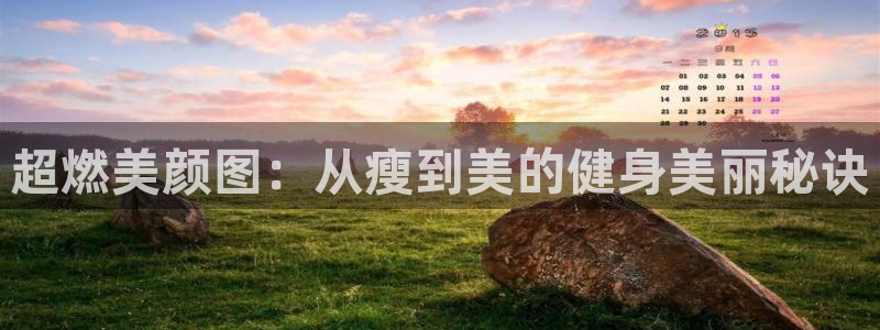 龙8国际long88