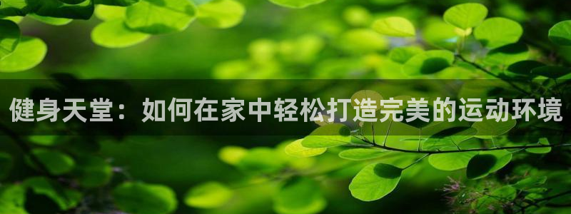 龙八国际城
