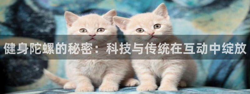 龙8国际下载