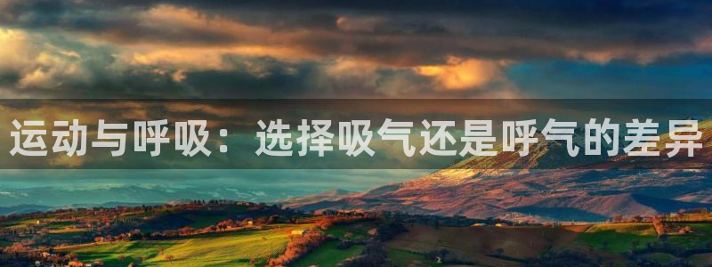 龙8国际最新官网