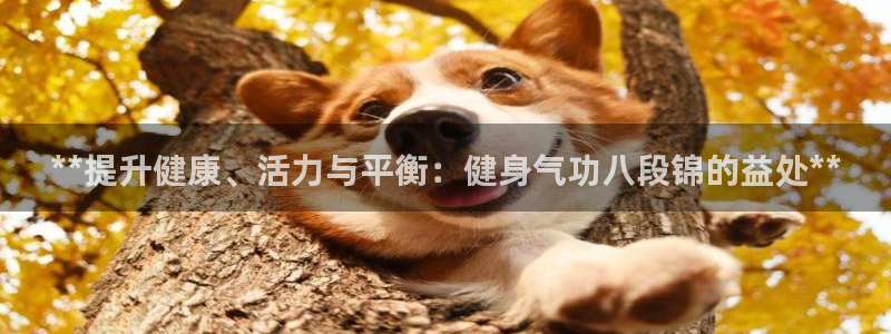 龙8国际手机网页版