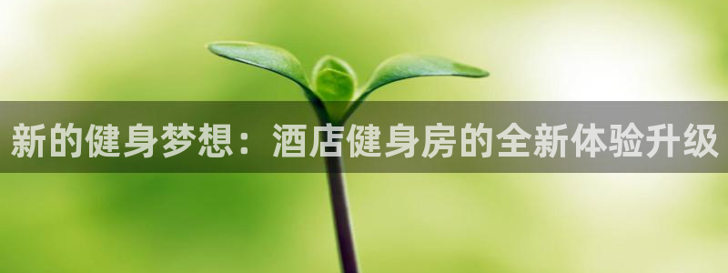 龙8国际线上