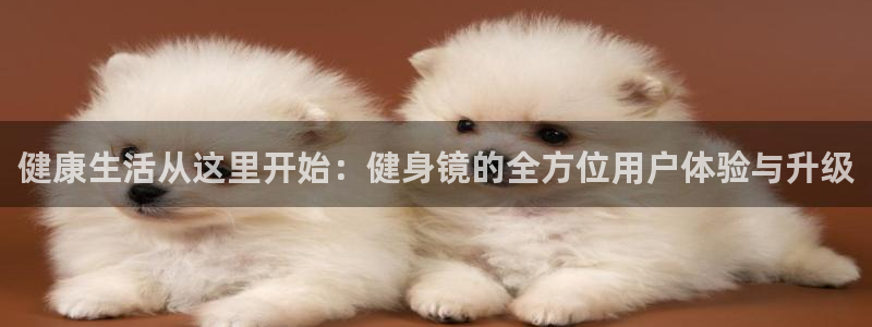 龙8国际试玩