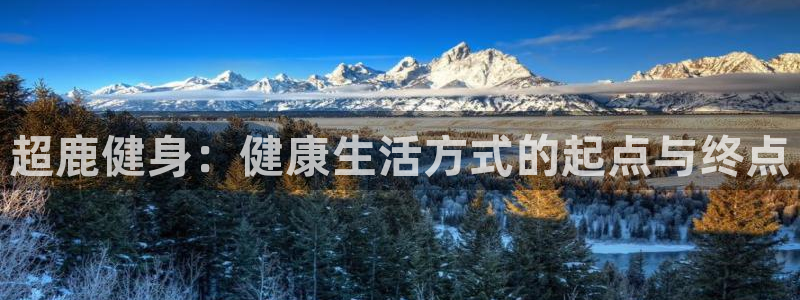 龙8国际唯一官网官方版
