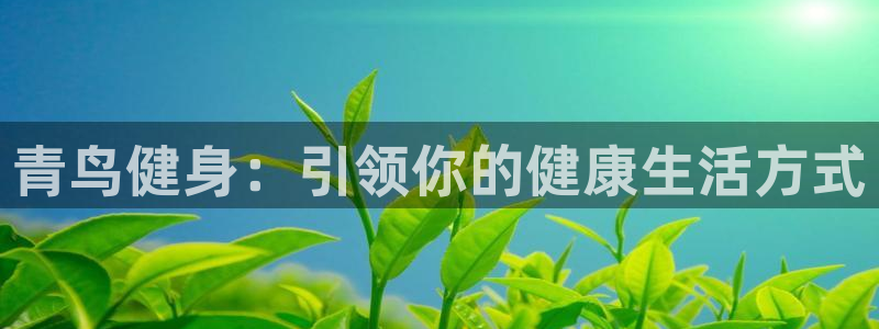 龙8国际的漏洞