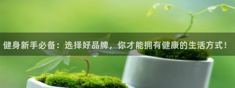龙八国际下载官网平台