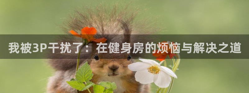 龙8国际官网 点此进入游戏