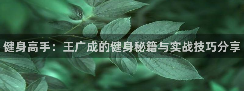 龙8国际总代理