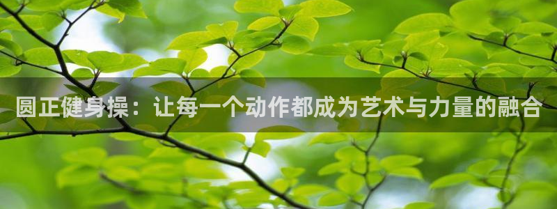 龙8-龙国际-long8-龙8游戏