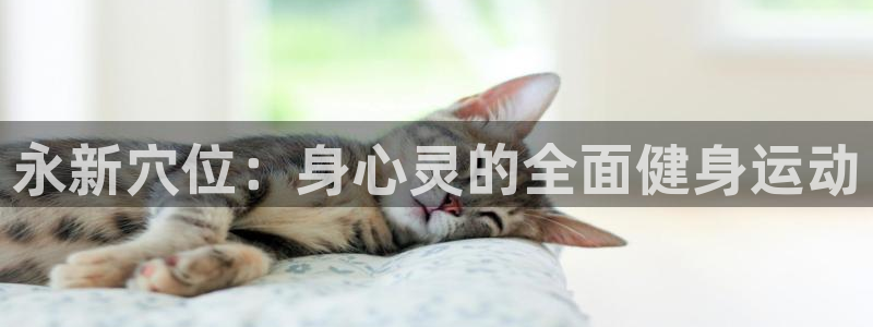 龙8国际官方平台