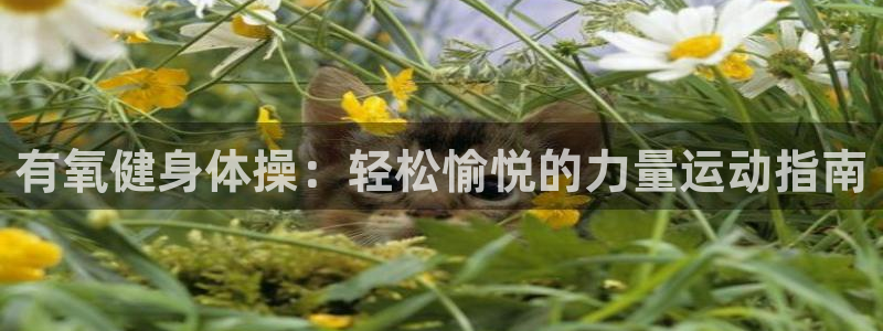 国际龙8hk