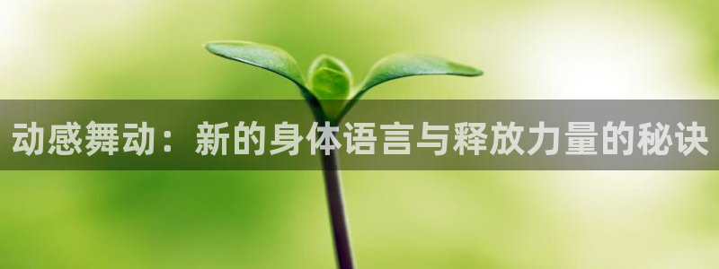 龙8官网在线试玩