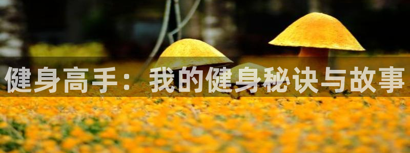 龙8国际登录地址