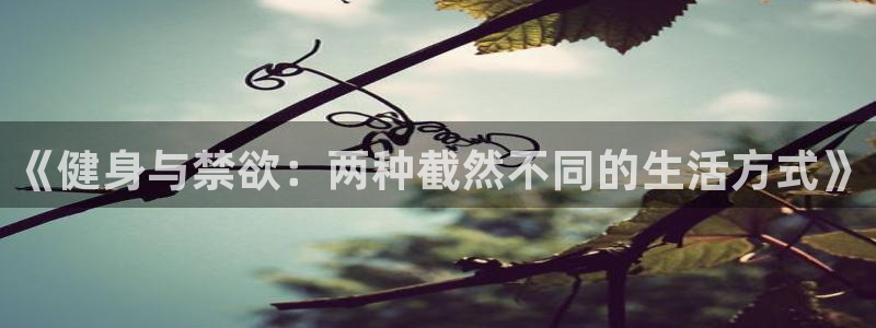 国际龙8唯一登陆