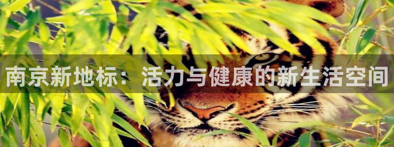 龙8国际老虎机娱乐