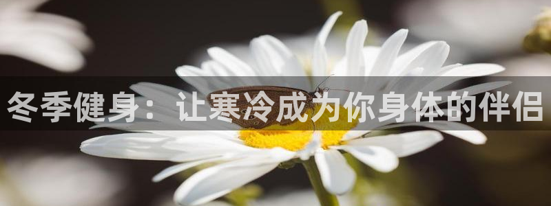 龙8国际的官网