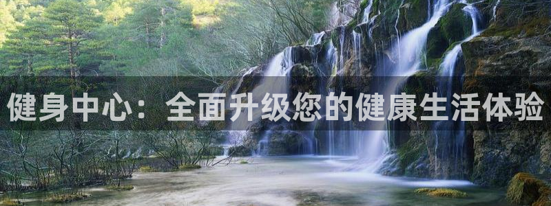 龙8app 国际