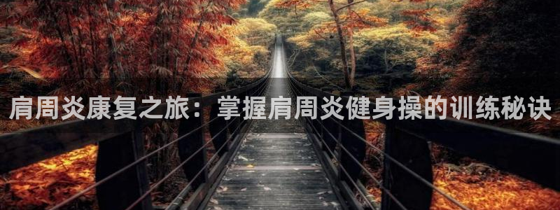 龙8国际网站是多少