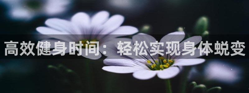 龙8国际电玩城