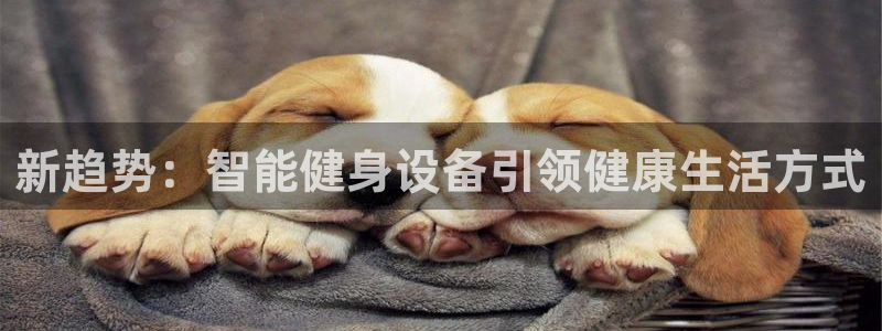 龙8国际安卓版版