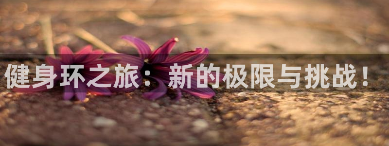 国际龙8官方网站