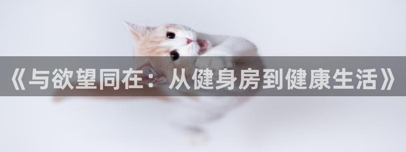 龙8国际老虎机电子