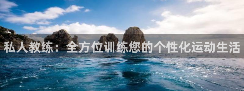 国际龙8下载