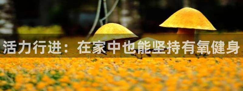 龙8国际pt官方网址