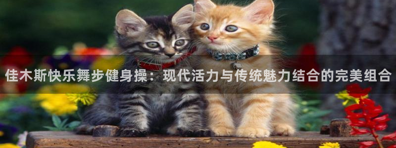 国际龙8官网pt客户端