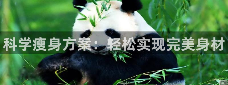 龙8国际手机登录|欢迎您的到来!