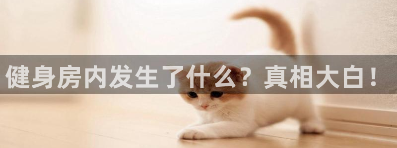 龙8国际网站是多少