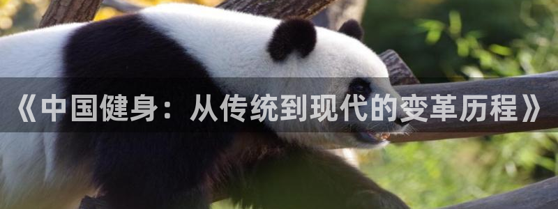 龙8国际官网注册