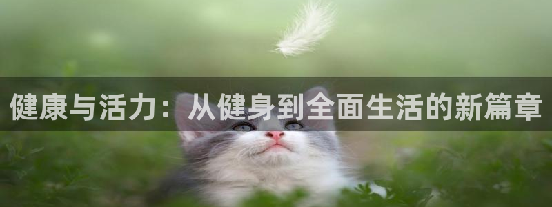 龙8国际网站怎么样