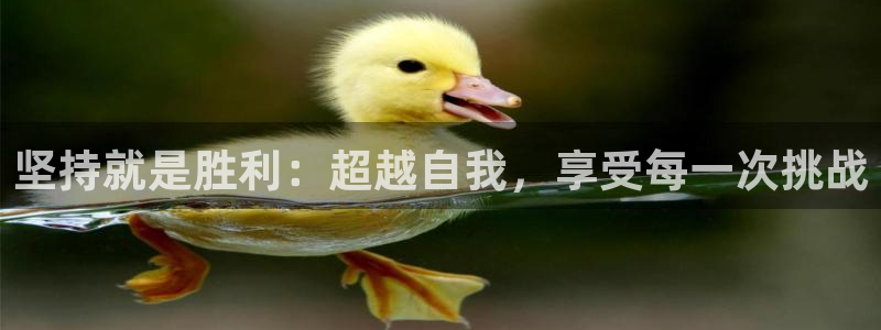 龙八国际手机客户端