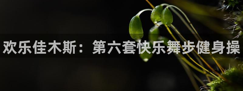 龙8游戏国际登录