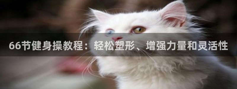 龙8国际2020官方网站