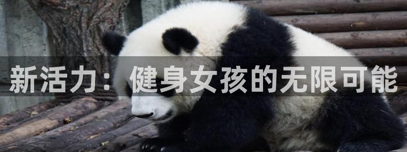 龙8电子游艺网址多少