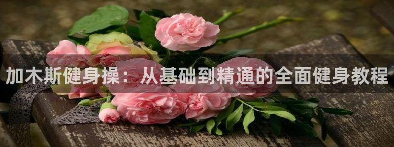 龙8国际安卓官方版fxzls-1.2.1 -安卓