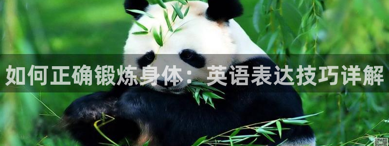 龙8国际官方网站手机版下载