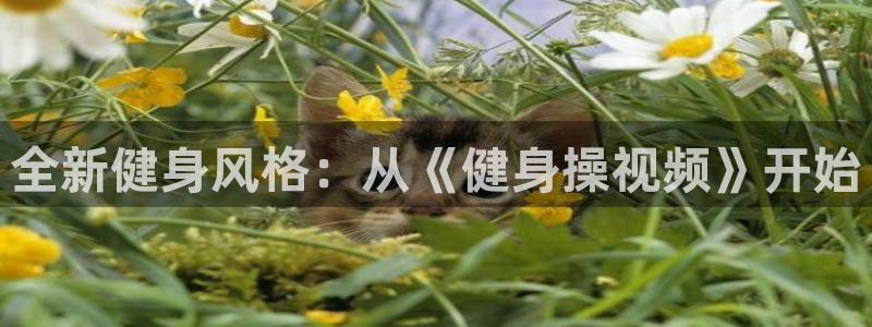 龙8国际官网官方版fxzls天地手游 -kc -安卓